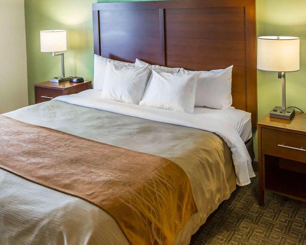 Comfort Inn Hobart-Merrillville I-65 Rum bild